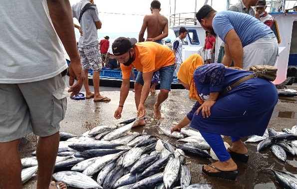 Potensi Perikanan dan Kelautan